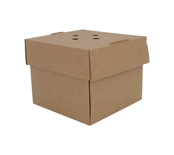 ECatering Essentials Eco-Friendly Premium Corrugated Burger Box (100)