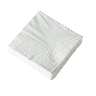 25cm 2 Ply Cocktail White Napkins - ECatering Essentials